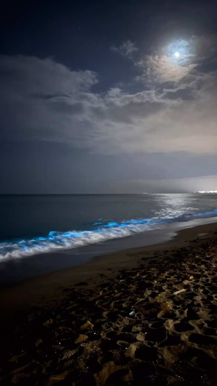Bioluminescent Tide Under Stars Near Barcelona in beneath thin cloud gaps and stars near Barcelona
