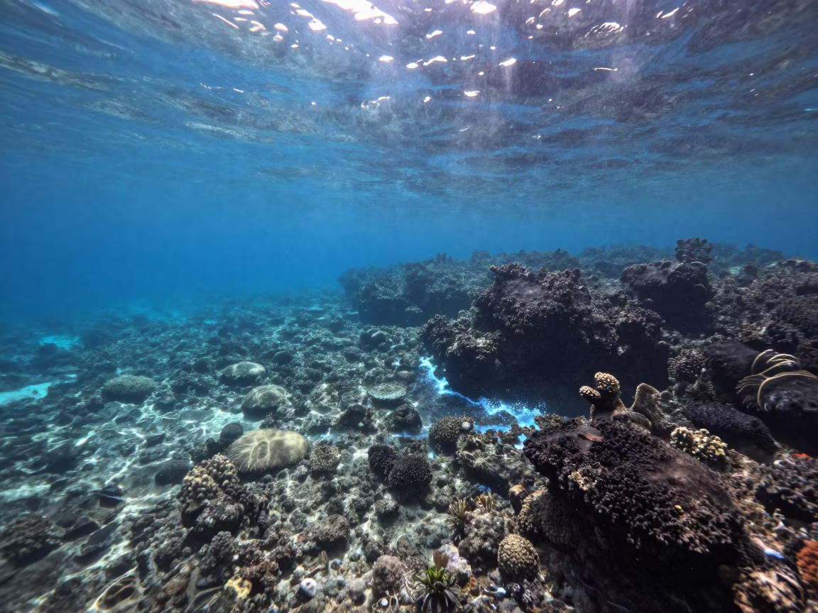 Bioluminescent Waves on Cebu Volcanic Reef Flat in beside a volcanic reef overhang near Cebu