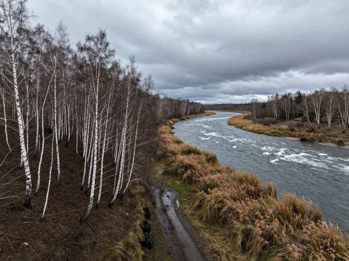 Birch Hillside and Fast River Under Monsoon Clouds in along a wave-cut shoreline near Kano