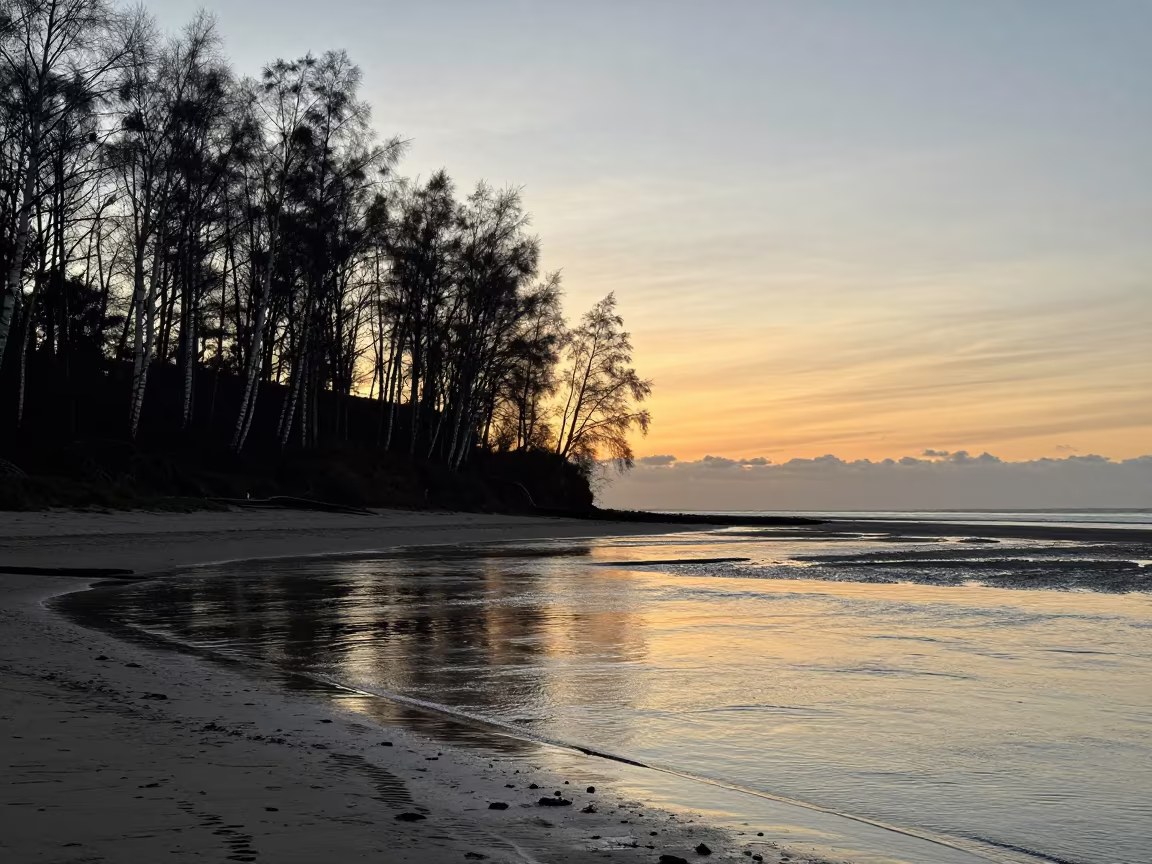 Birch Hillside Silhouetted at Twilight Tide in along a wave-cut shoreline near Ile Ife