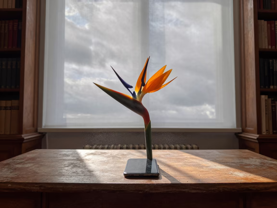 Bird of Paradise on Dusty Vienna Library Table in on a dusty library table in Vienna