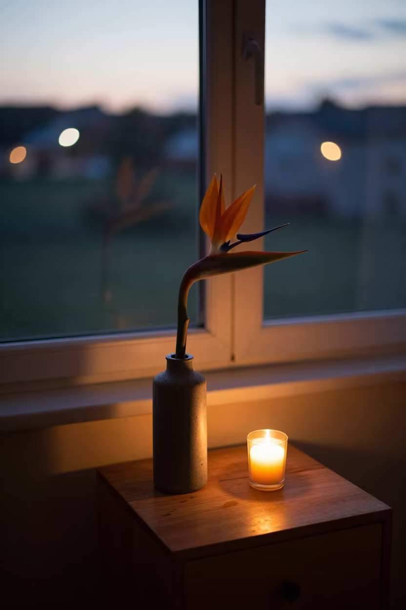 Bird of Paradise Flower Under Double Sunlight in on a bedside table in Potsdam