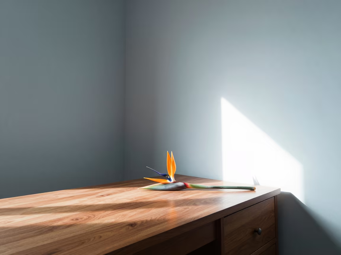 Bird of Paradise Flower on Writing Desk in on a writing desk near Puebla