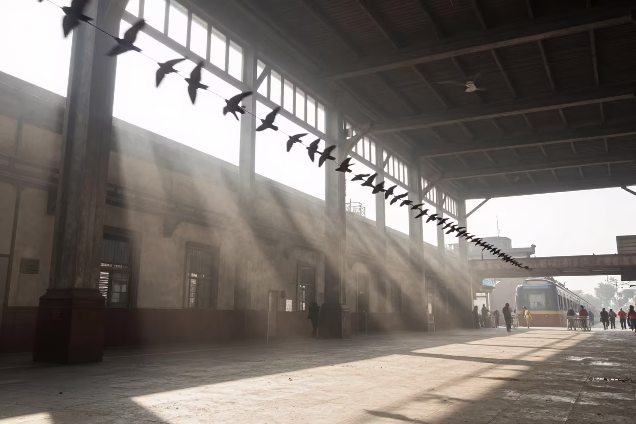 Birds Launching From Wire in Train Terminal in inside a restored train terminal near Mexico City