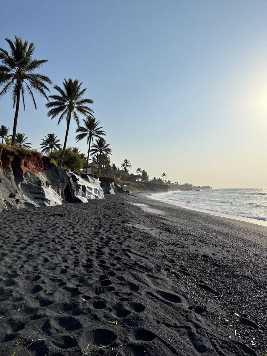 Black Sand Beach Palm Trees Kashmir Cliff in along a salt-sprayed cliff edge in Kashmir