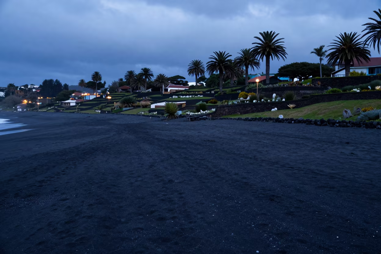 Black Sand Beach Palm Trees Patagonia Twilight in among terraced garden plots in Patagonia