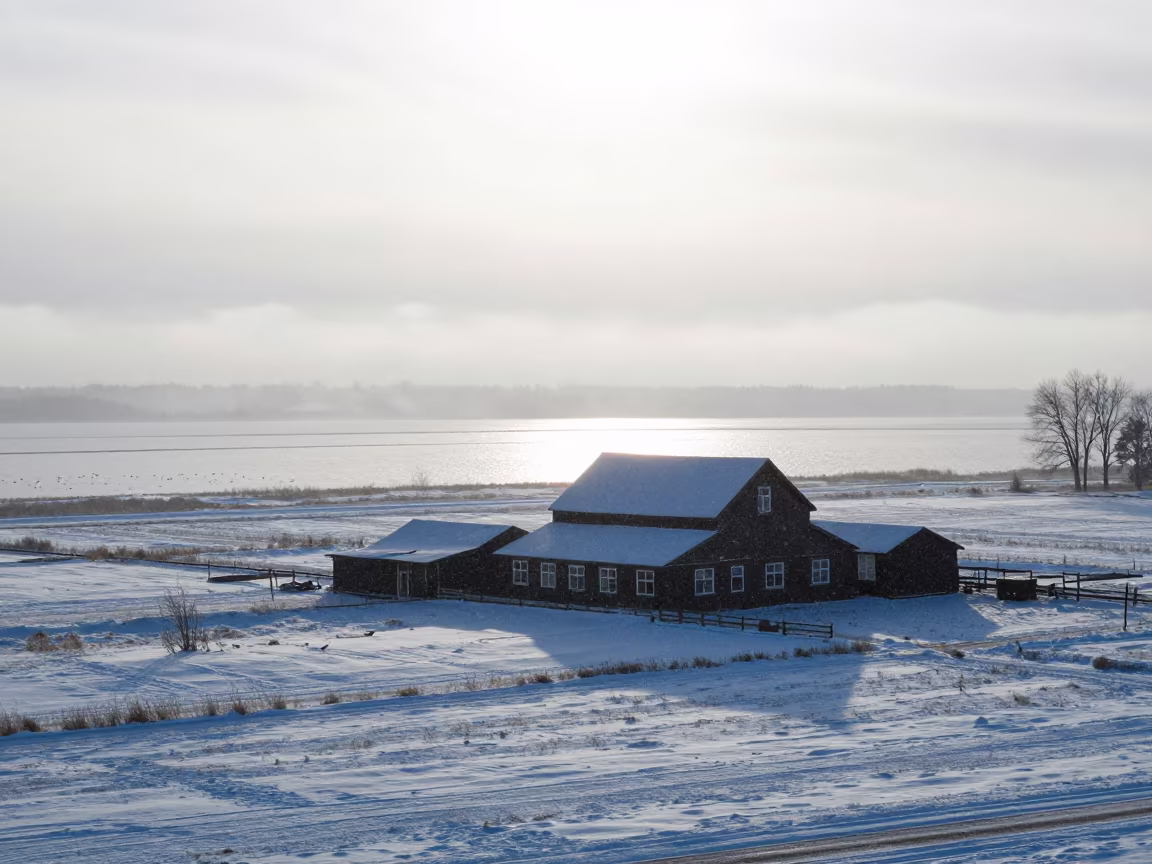 Blizzard Silhouette Farmhouse Alberta Midday in through low marine fog in Alberta