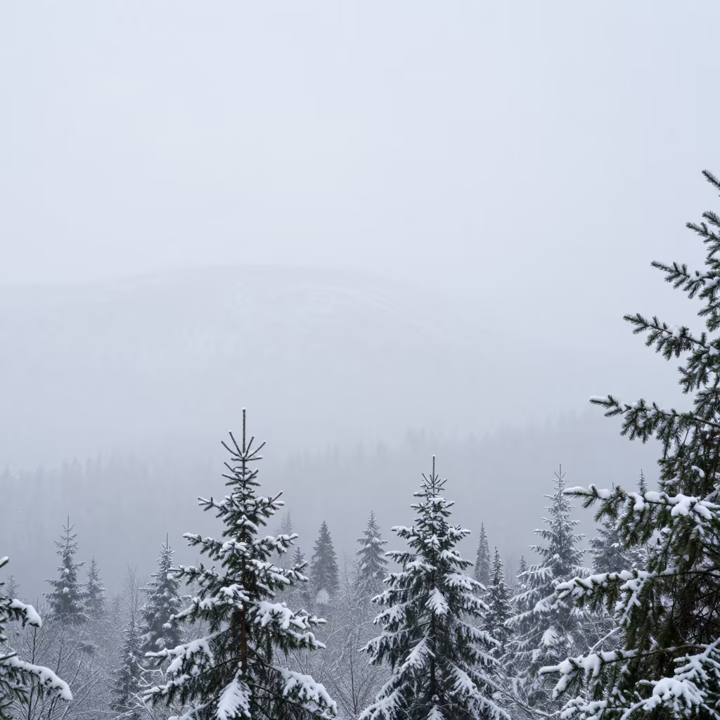 Blizzard Whiteout Near Oslo Midday Mountain Light in near Oslo