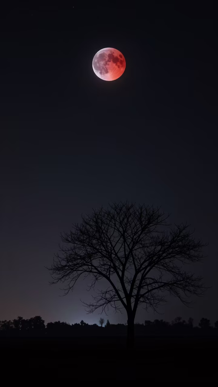 Blood Red Moon Over Tripura Winter Night Sky in under the clearest stretch of sky in Tripura