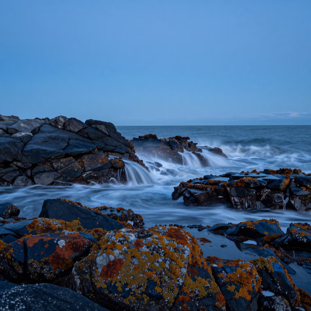Blue Hour Coastline with Lichen and Sea Spray in near Vancouver