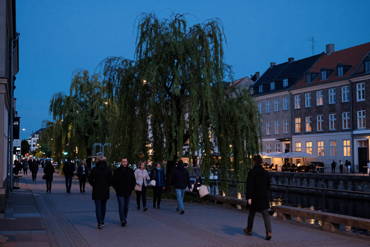 Blue Hour Copenhagen Street Scene with Weeping Willow and Evening Commuters in in Copenhagen, Denmark