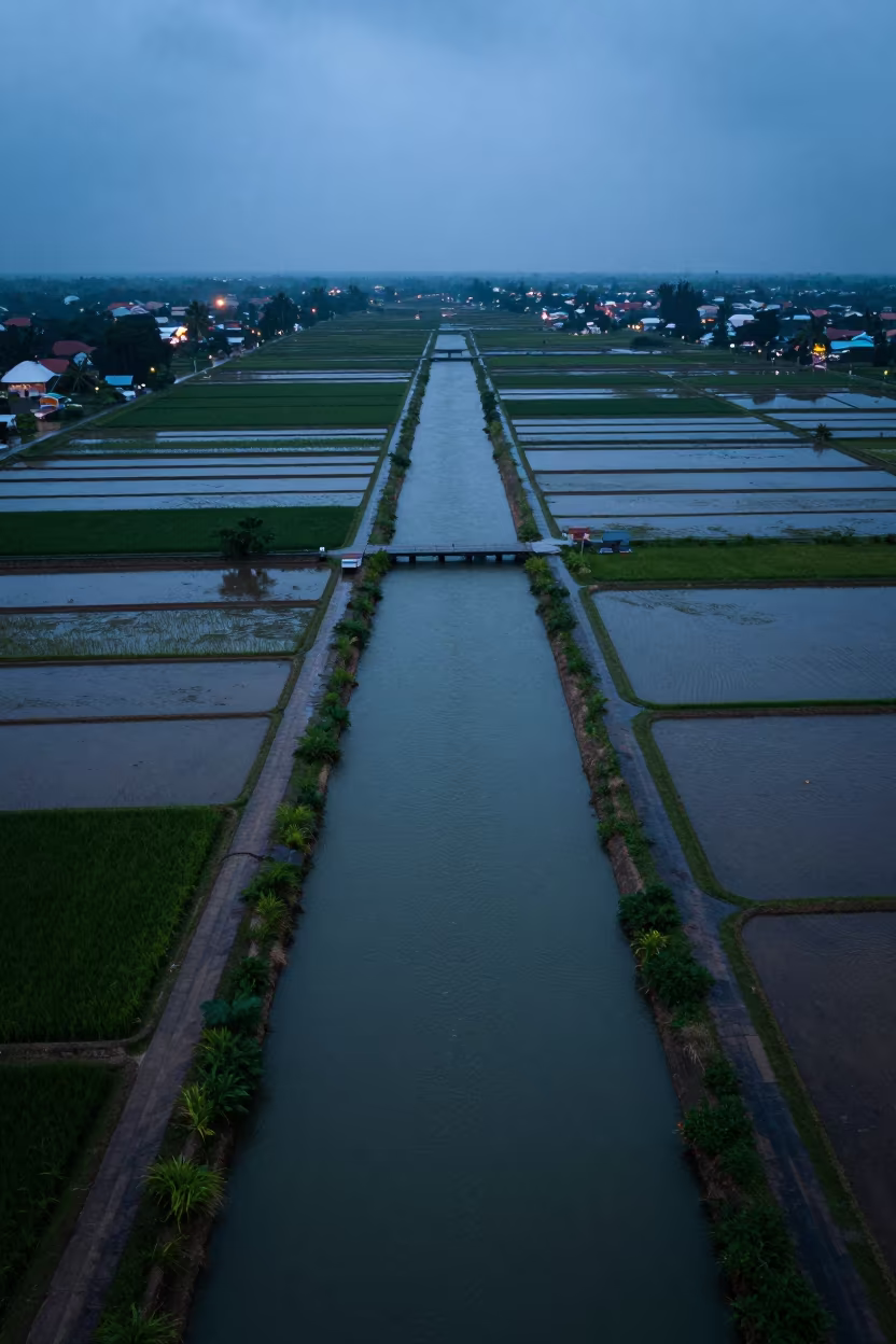 Blue Hour Irrigation Canals Above Rice Terraces in among terraced rice paddies near Ho Chi Minh City