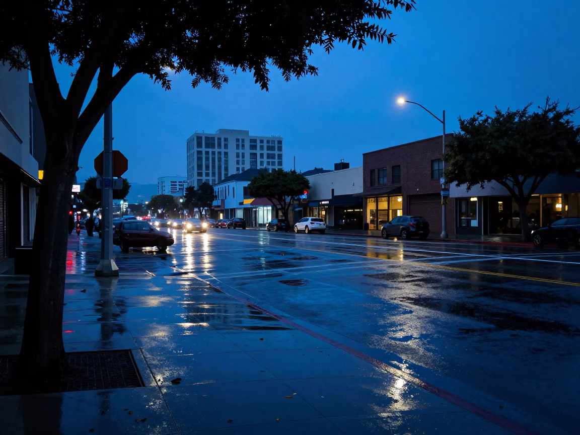 Blue Hour Los Angeles Street Scene with Wet Leaves and Urban Reflections in in Los Angeles, California, United States