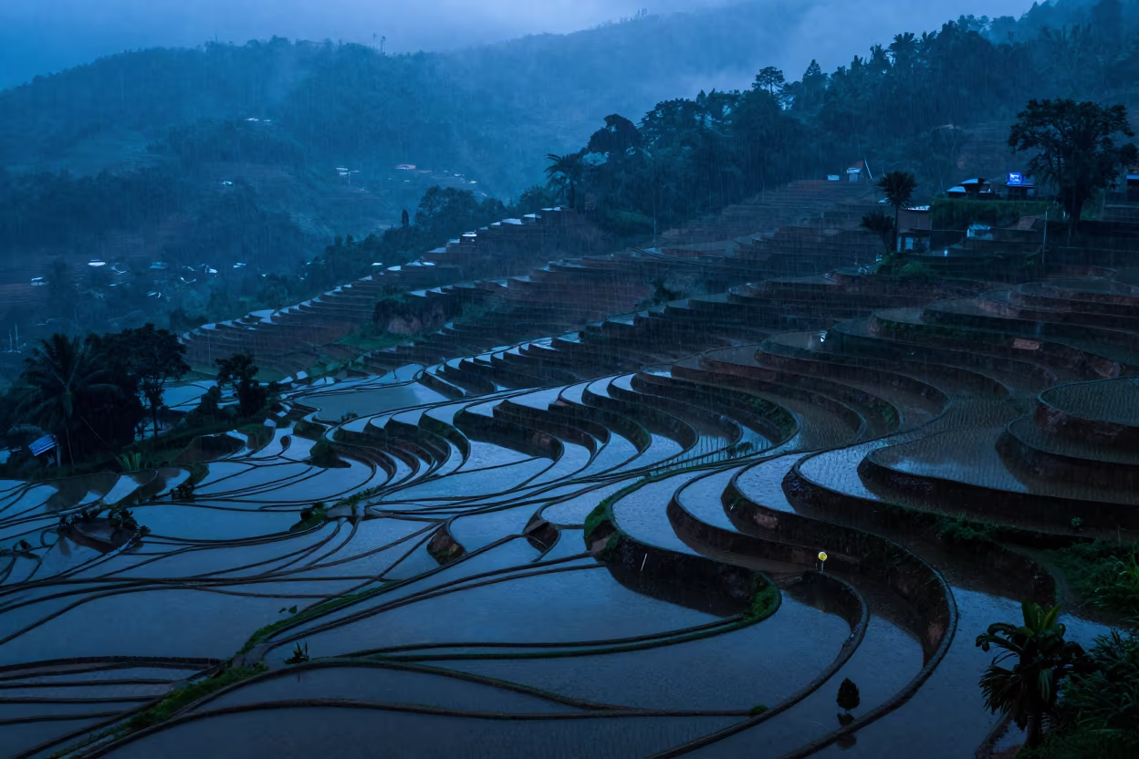 Blue Hour Rice Terraces Rio Valley After Rain in across a wide valley floor near Rio de Janeiro