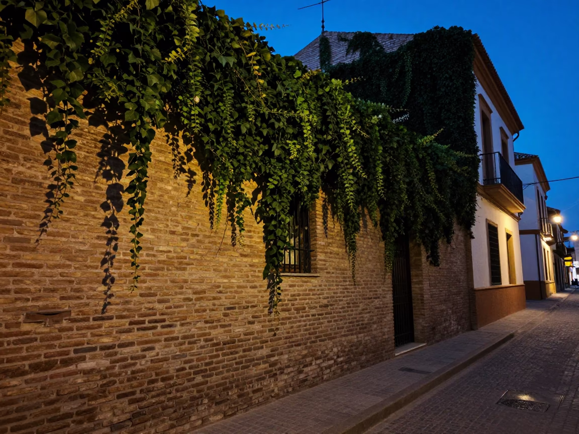 Blue Hour Seville Street Scene with Ivy Brick Wall and Hanging Laundry in in Seville, Spain