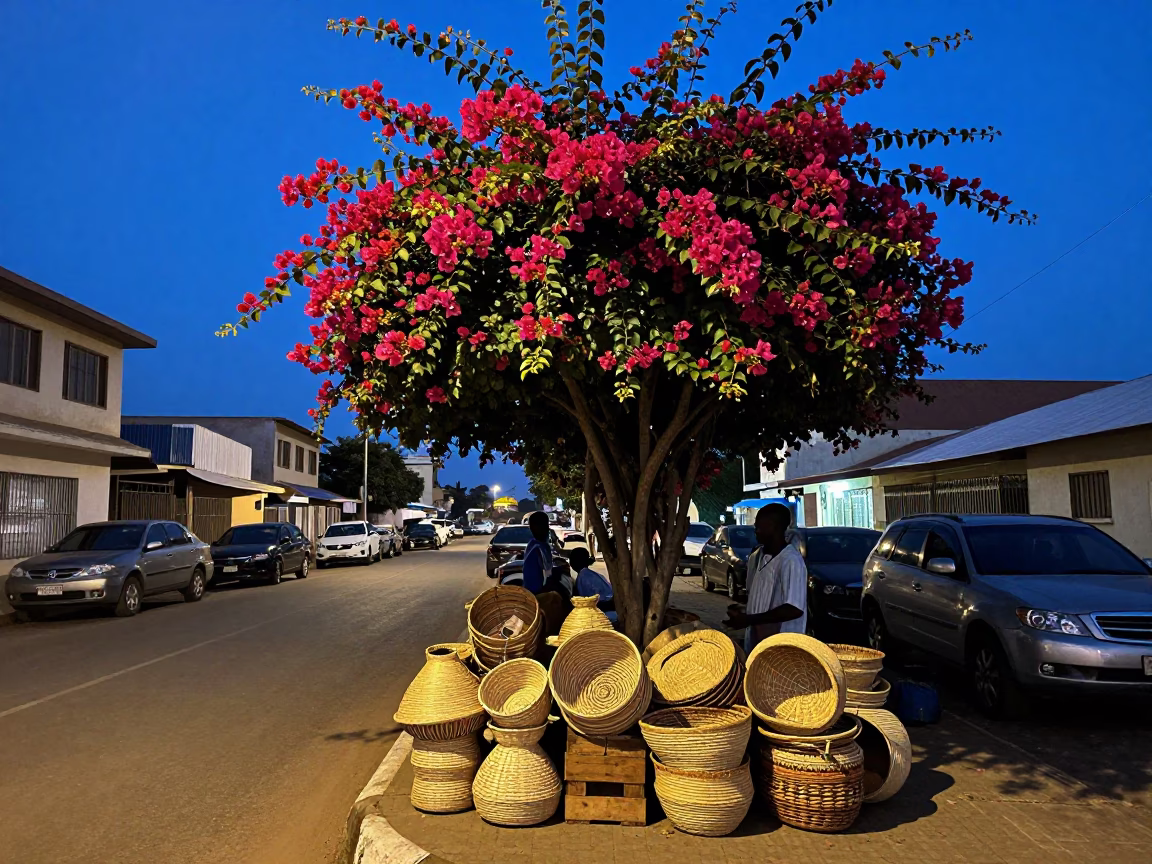 Blue Hour Street Scene in Accra Ghana with Bougainvillea and Woven Baskets in in Accra, Ghana