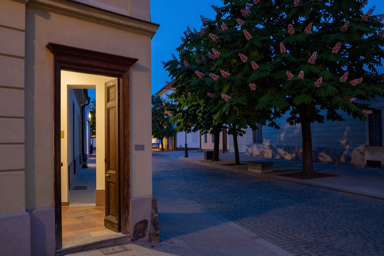 Blue Hour Street Scene in Budapest Hungary with Doorframe and Chestnut Tree in in Budapest, Hungary