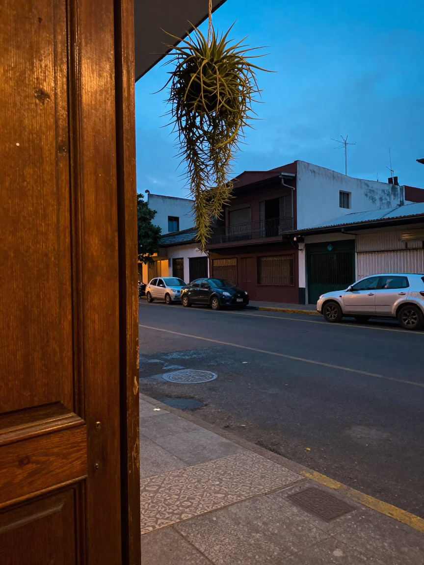 Blue Hour Street Scene in Buenos Aires Argentina with Doorframe and Hanging Air Plant in in Buenos Aires, Argentina