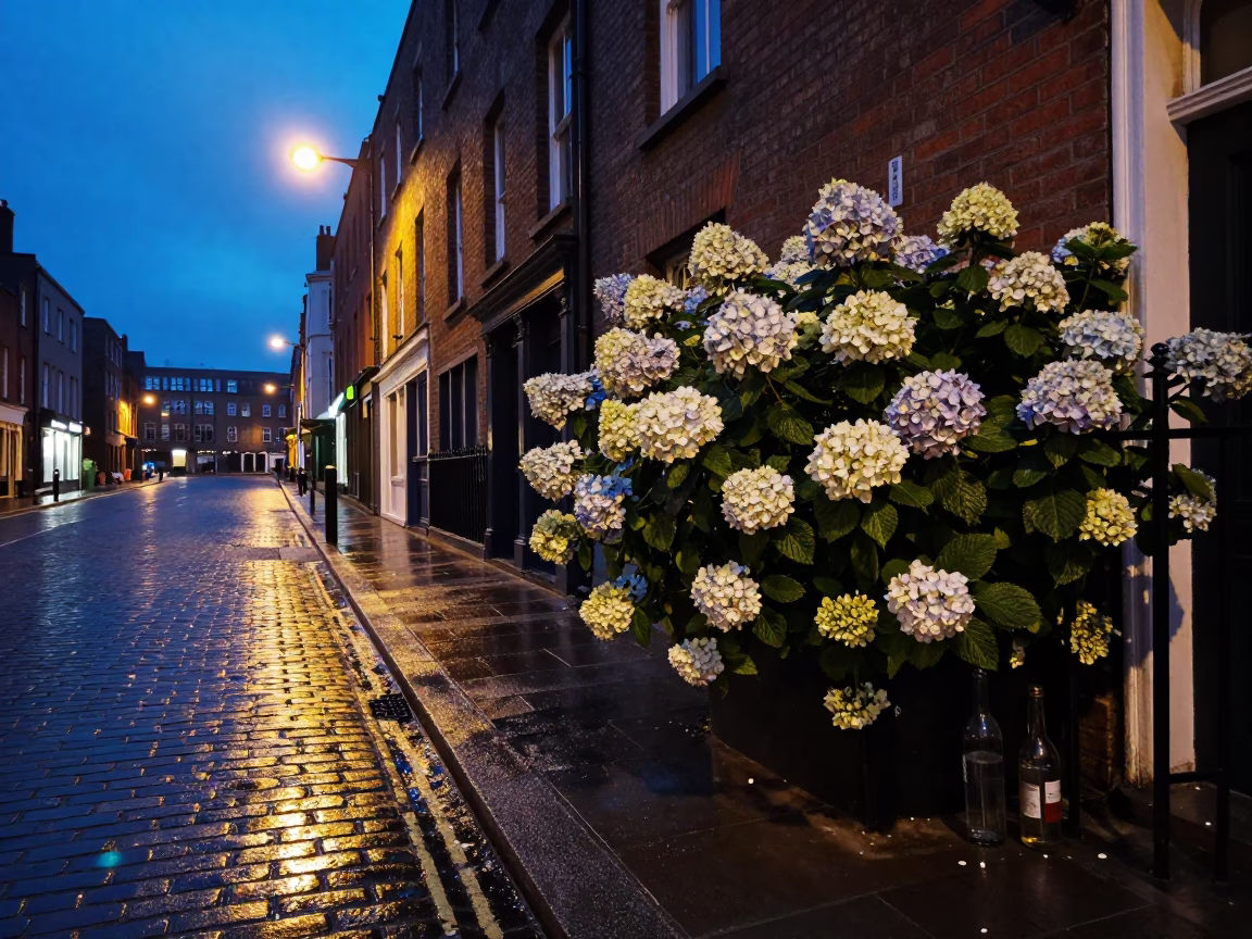 Blue Hour Street Scene in Dublin Ireland with Hydrangea Bush and Glass Bottle in in Dublin, Ireland