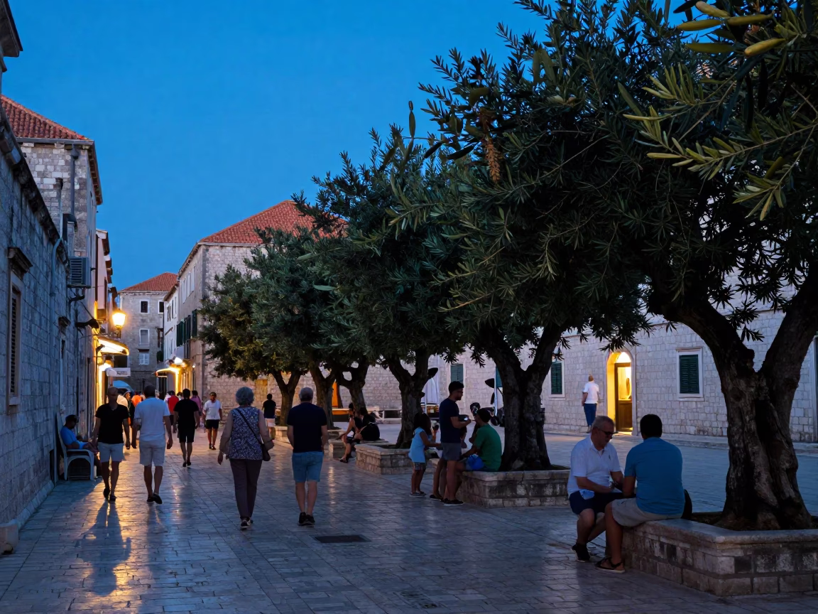 Blue Hour Street Scene in Dubrovnik Croatia with Olive Trees and Local Life in in Dubrovnik, Croatia