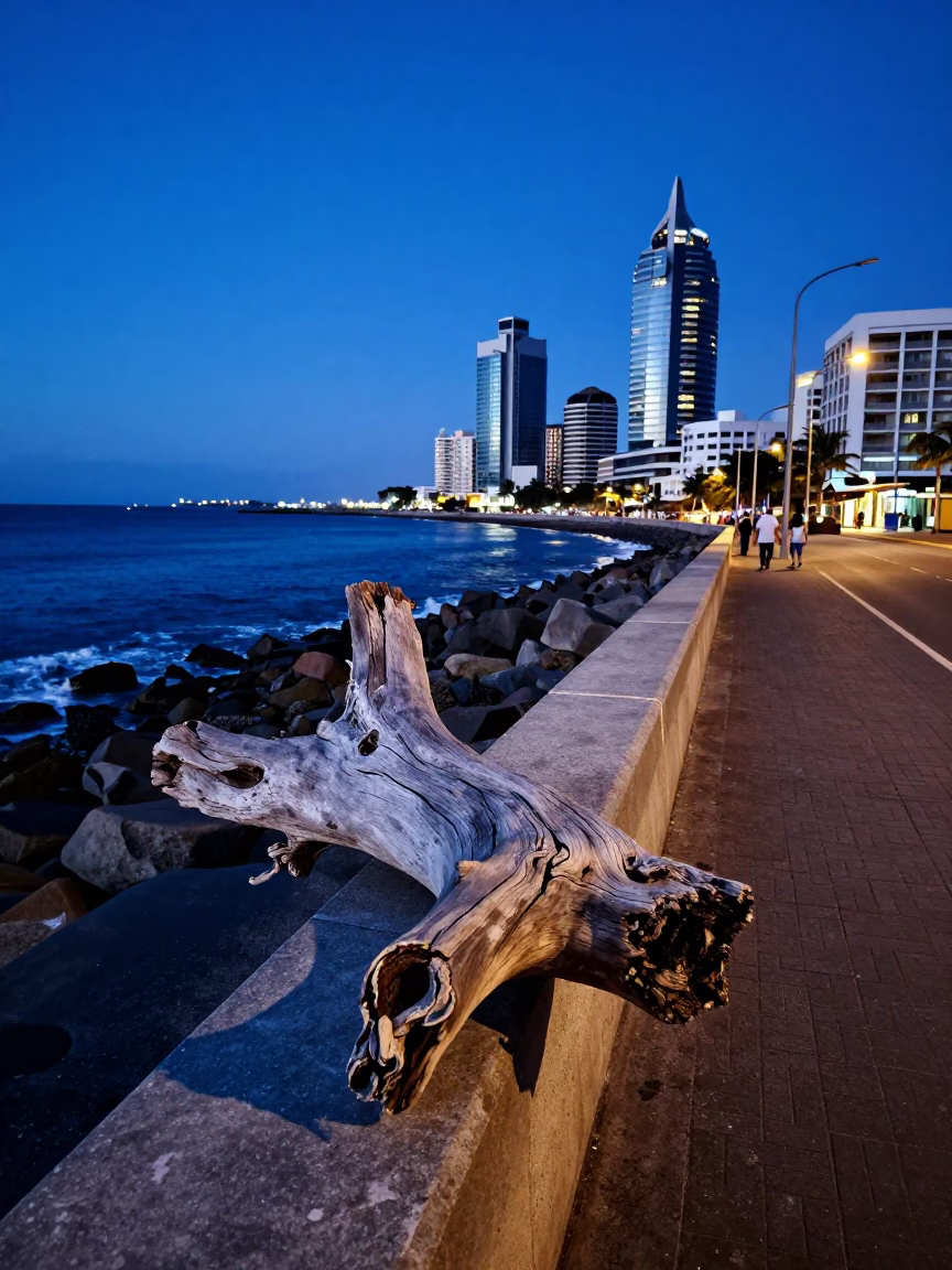 Blue Hour Street Scene in Durban South Africa with Driftwood and Urban Life in in Durban, South Africa