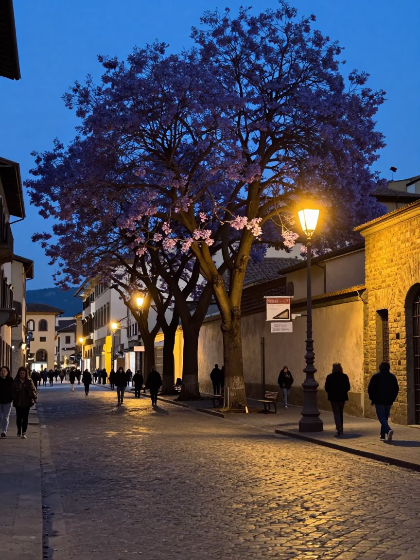 Blue Hour Street Scene in Florence Italy with Jacaranda Tree and Lantern in in Florence, Italy