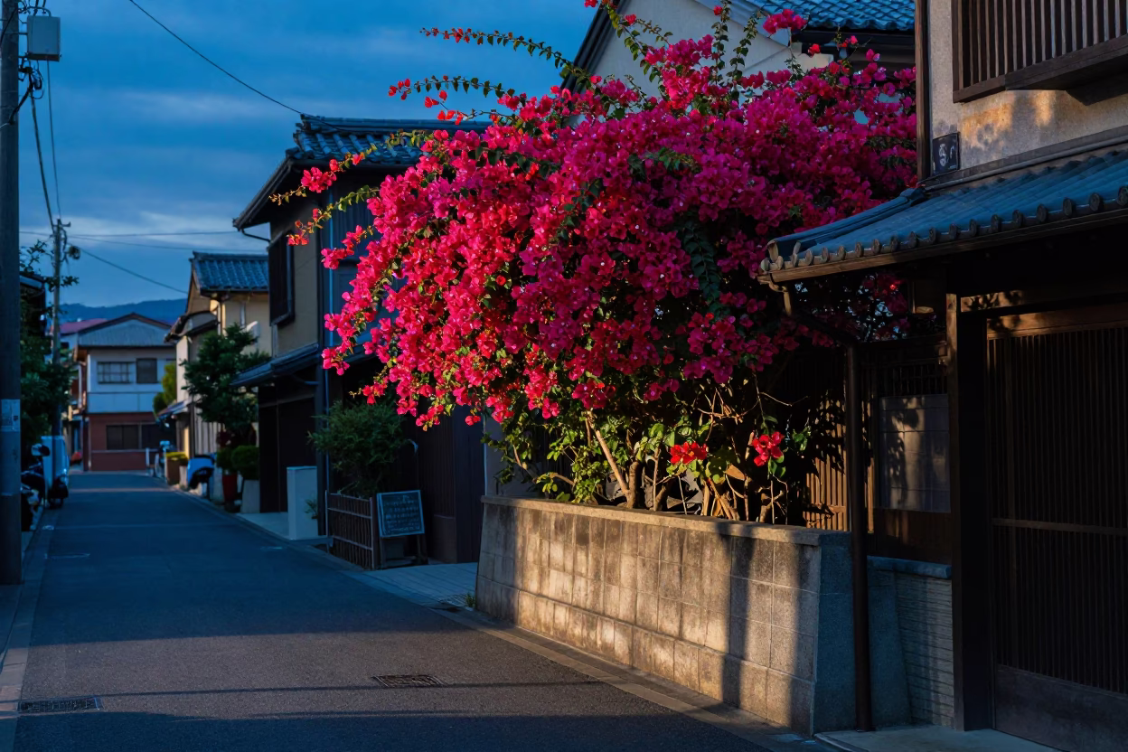 Blue Hour Street Scene in Fukuoka Japan with Bougainvillea and Traditional Architecture in in Fukuoka, Japan