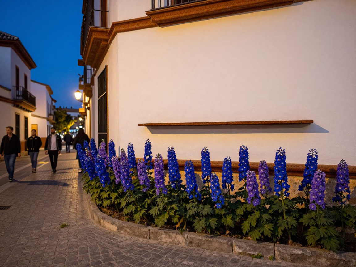Blue Hour Street Scene in Granada Spain with Delphinium Border and Rusty Shelf Details in in Granada, Spain