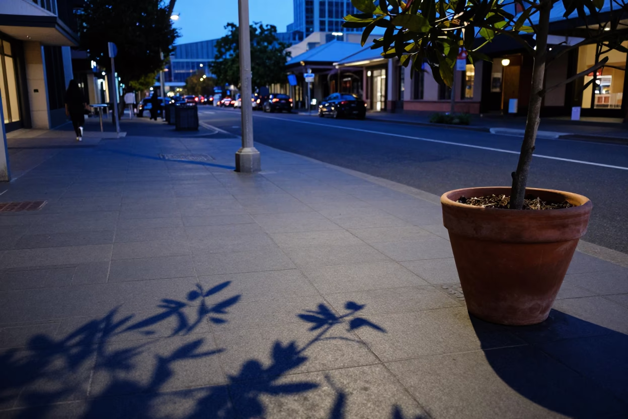 Blue Hour Street Scene in Hobart Tasmania with Leaf Shadows and Terracotta Pot in in Hobart, Tasmania, Australia