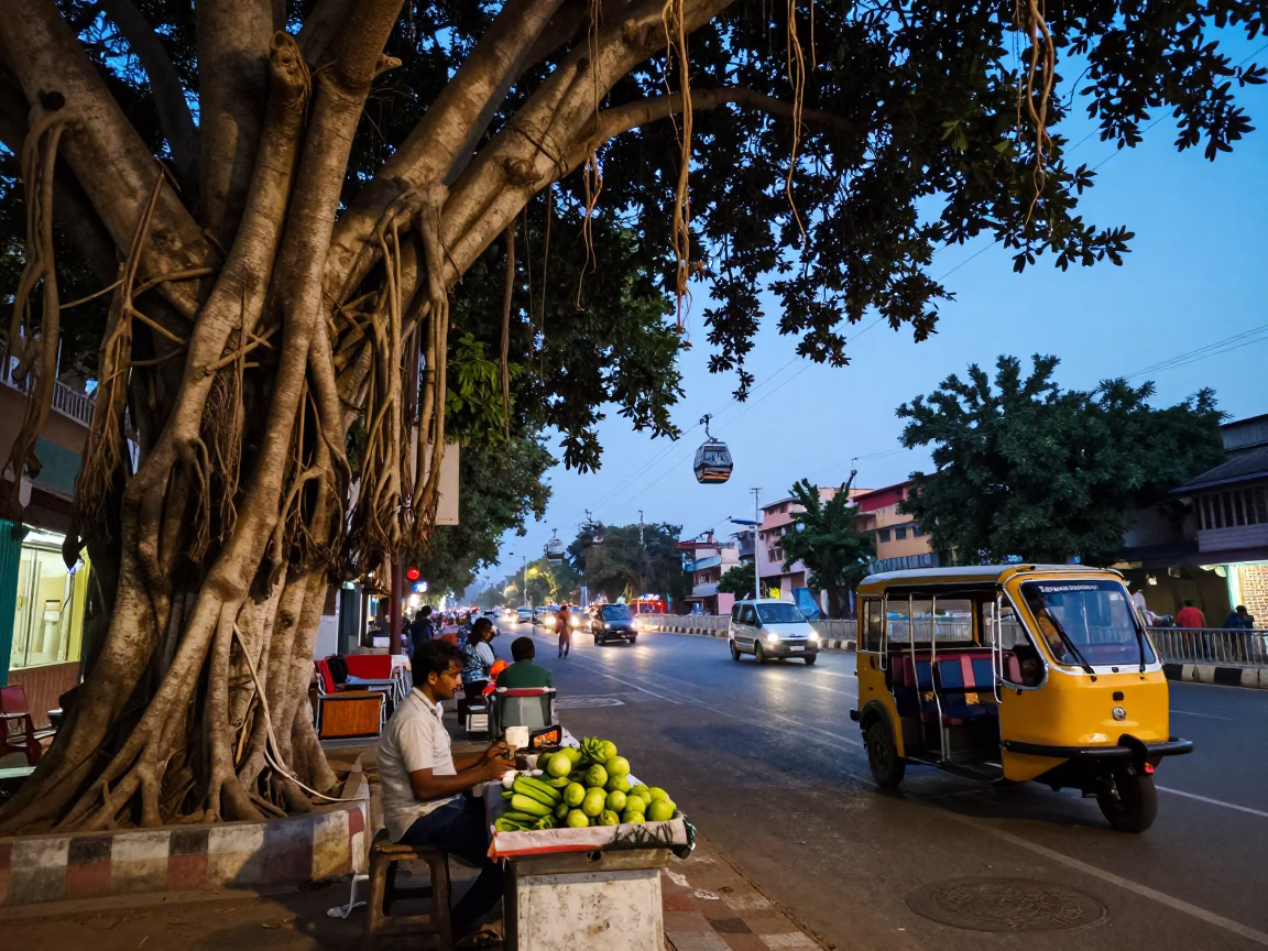 Blue Hour Street Scene in Hyderabad India with Banyan Grove and Gondola in in Hyderabad, India