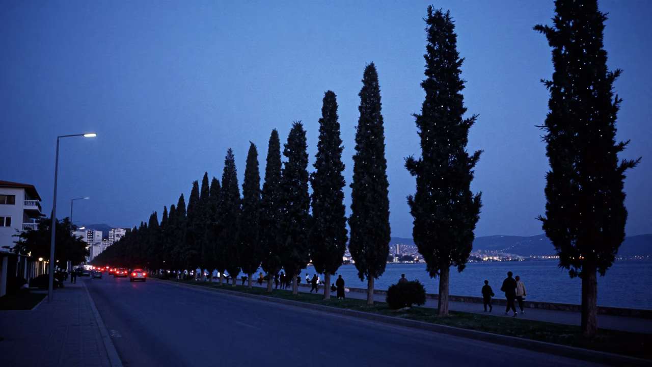 Blue Hour Street Scene in Izmir Turkey with Cypress Trees and Coastal Cityscape in in Izmir, Turkey