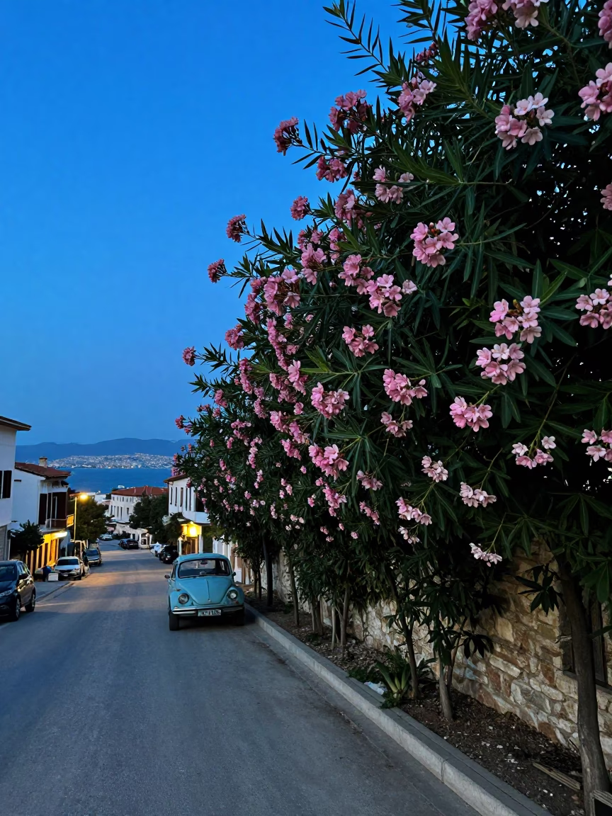 Blue Hour Street Scene in Izmir Turkey with Oleander Hedge and Vintage Car in in Izmir, Turkey