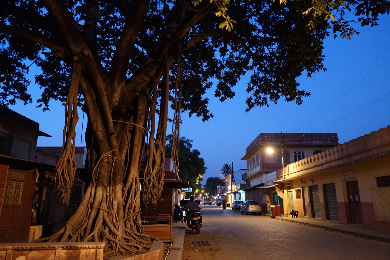 Blue Hour Street Scene in Jaipur India with Banyan Tree Roots and Local Commerce in in Jaipur, India