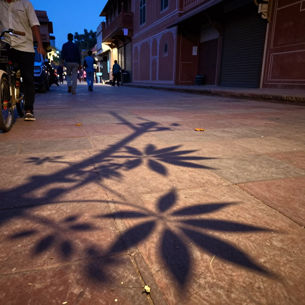 Blue Hour Street Scene in Jaipur With Leaf Shadows on Tiled Floor in in Jaipur, India