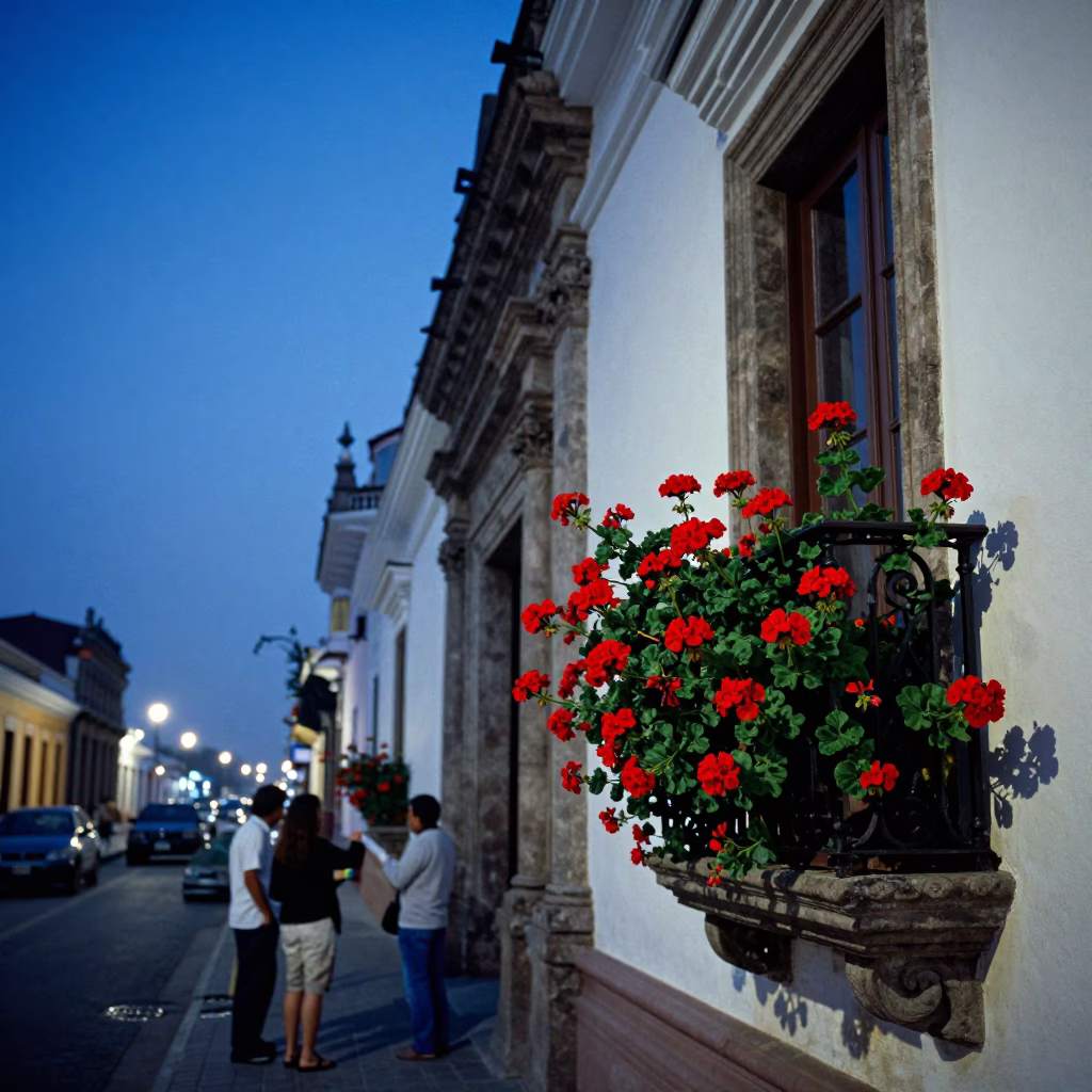 Blue Hour Street Scene in Lima Peru with Geraniums and Local Interaction in in Lima, Peru