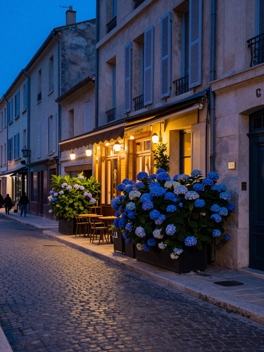 Blue Hour Street Scene in Marseille France with Hydrangeas and Local Architecture in in Marseille, France