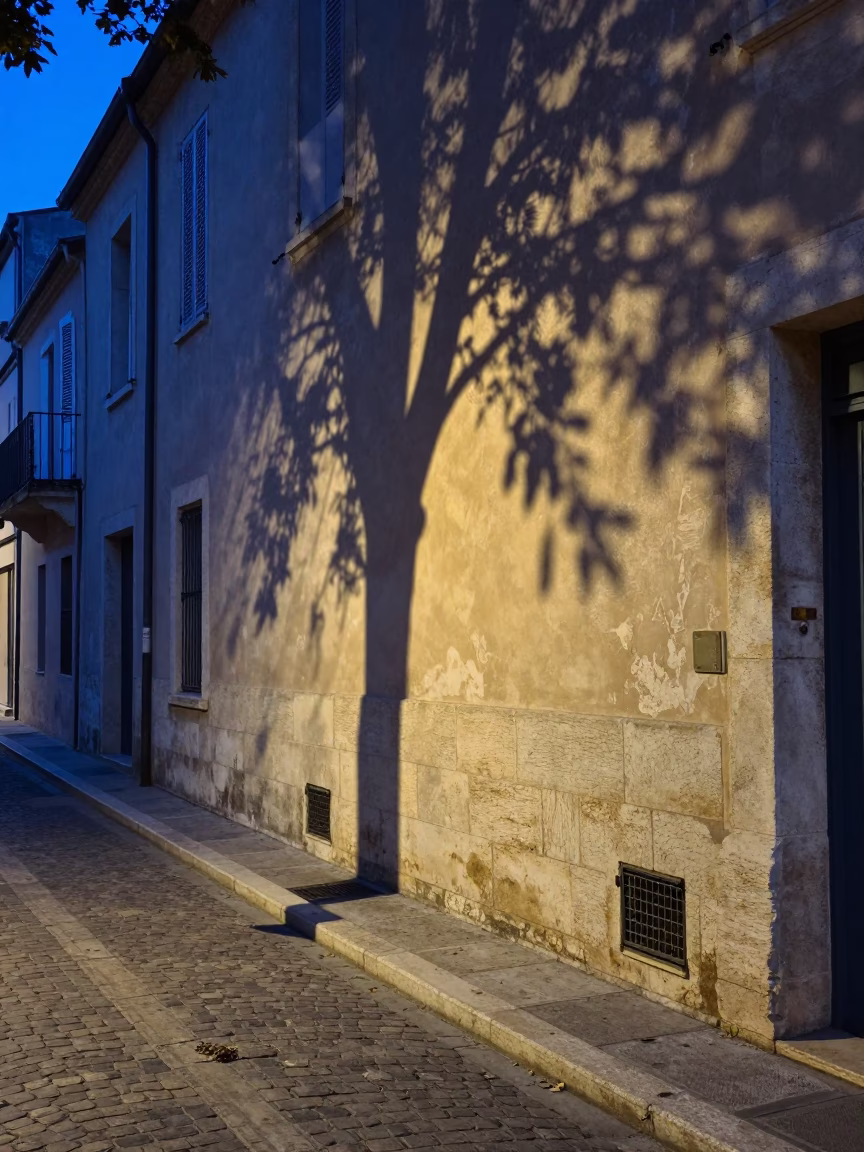 Blue hour street scene in Marseille with dappled leaf shadows on plaster in in Marseille, France