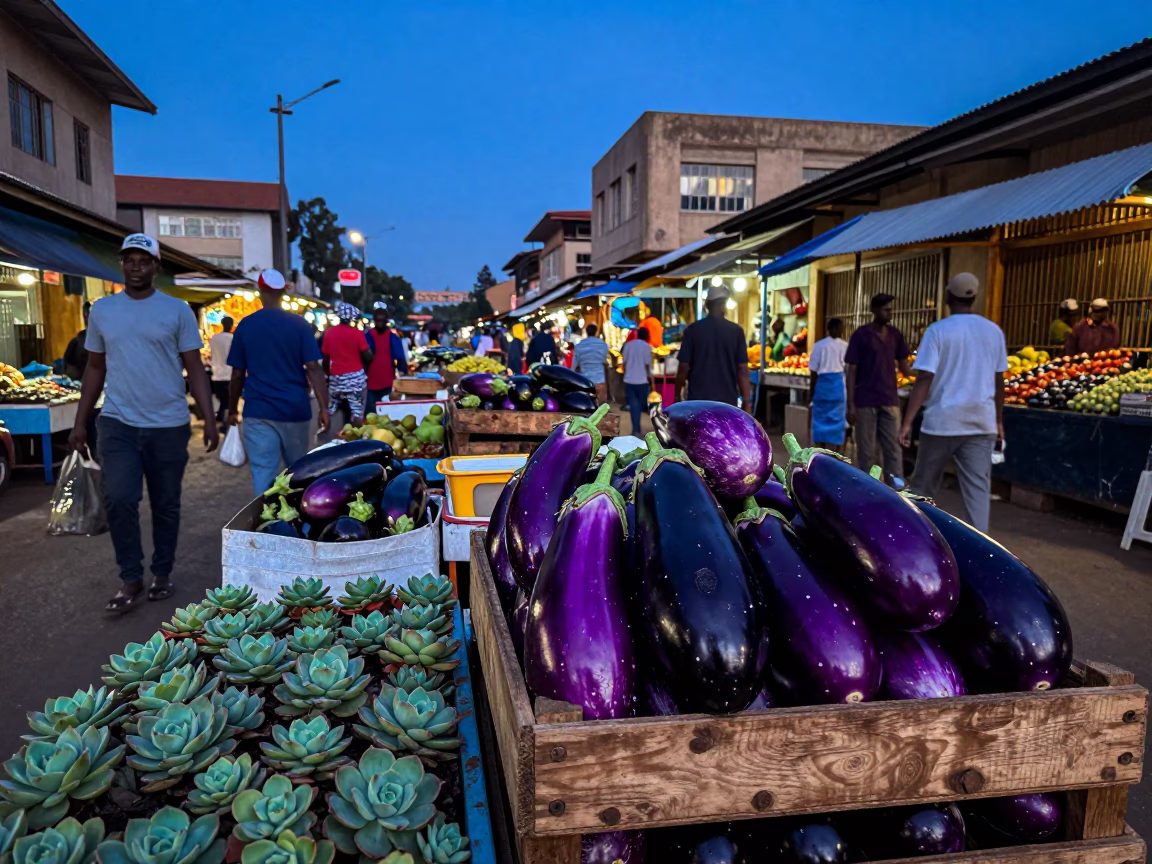Blue Hour Street Scene in Nairobi Kenya with Eggplants and Succulents in in Nairobi, Kenya