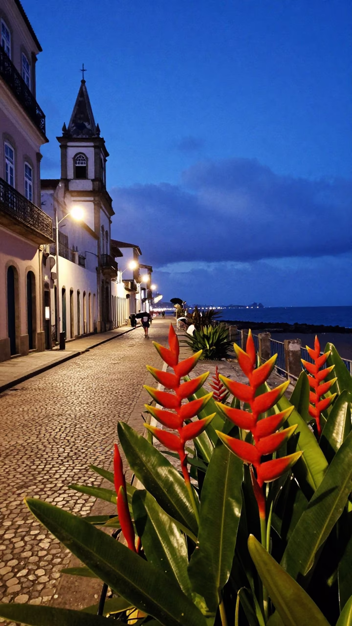 Blue Hour Street Scene in Salvador Brazil with Heliconia and Tidal Waters in in Salvador, Brazil