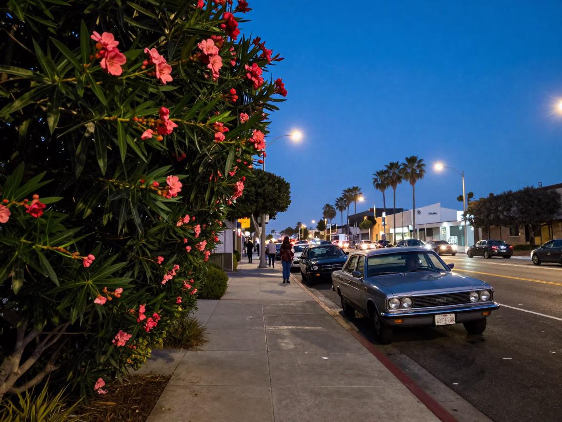 Blue Hour Street Scene in San Diego California with Oleander Hedge and Urban Activity in in San Diego, California, United States