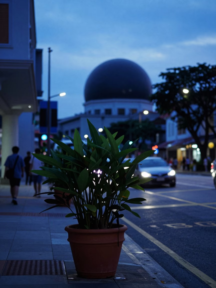 Blue Hour Street Scene in Singapore with Plant Pot and Observatory Dome in in Singapore, Singapore