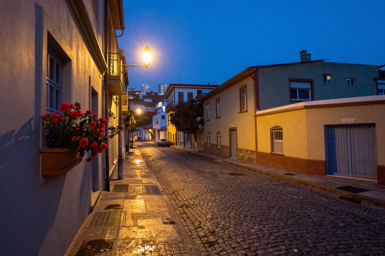 Blue Hour Street Scene in Valparaiso Chile with Window Box and Flowering Plant in in Valparaiso, Chile