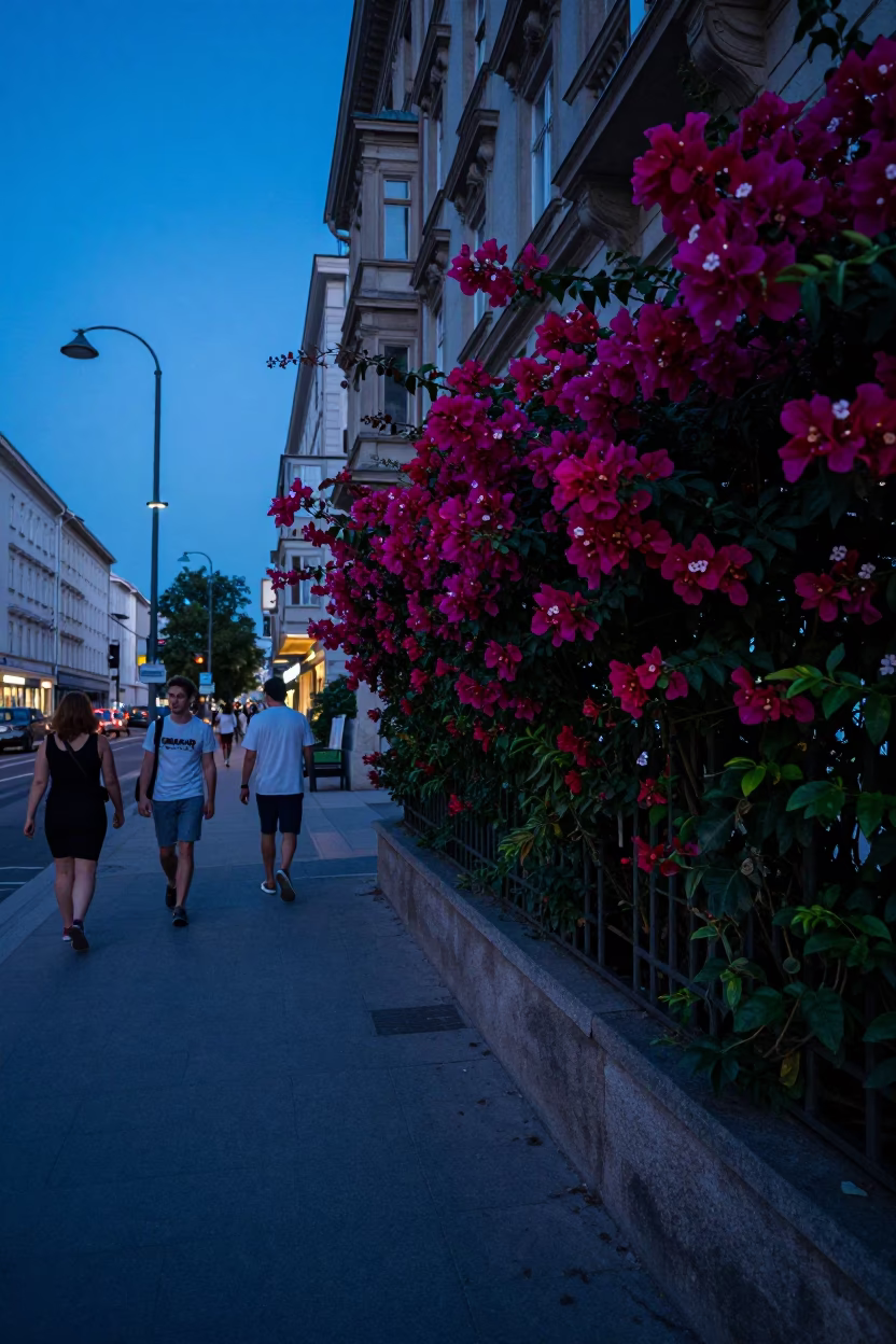 Blue Hour Street Scene in Vienna Austria with Plumbago Hedge and Lint in in Vienna, Austria