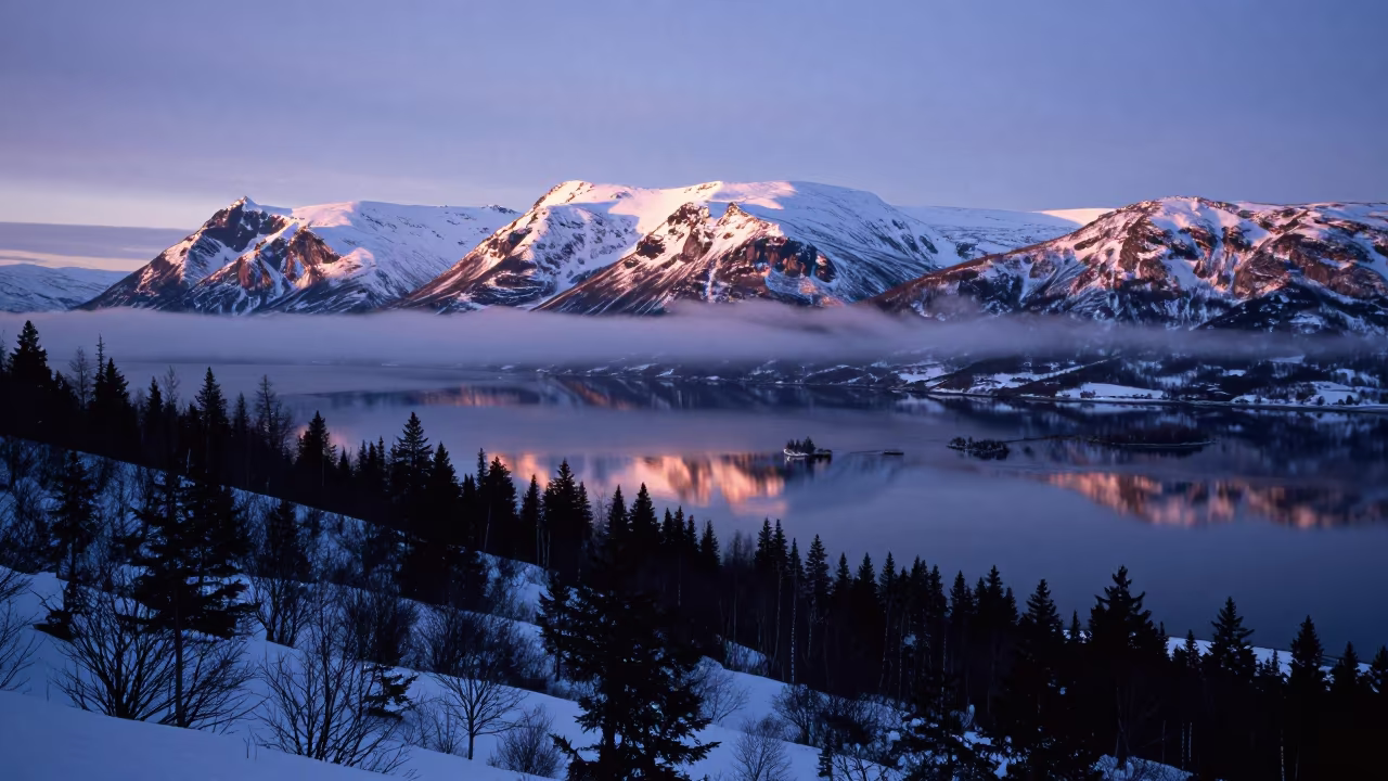 Blue Hour Taiga Forest Fjords Norway Ridge in from a ridge above layered foothills in the Fjords of Norway
