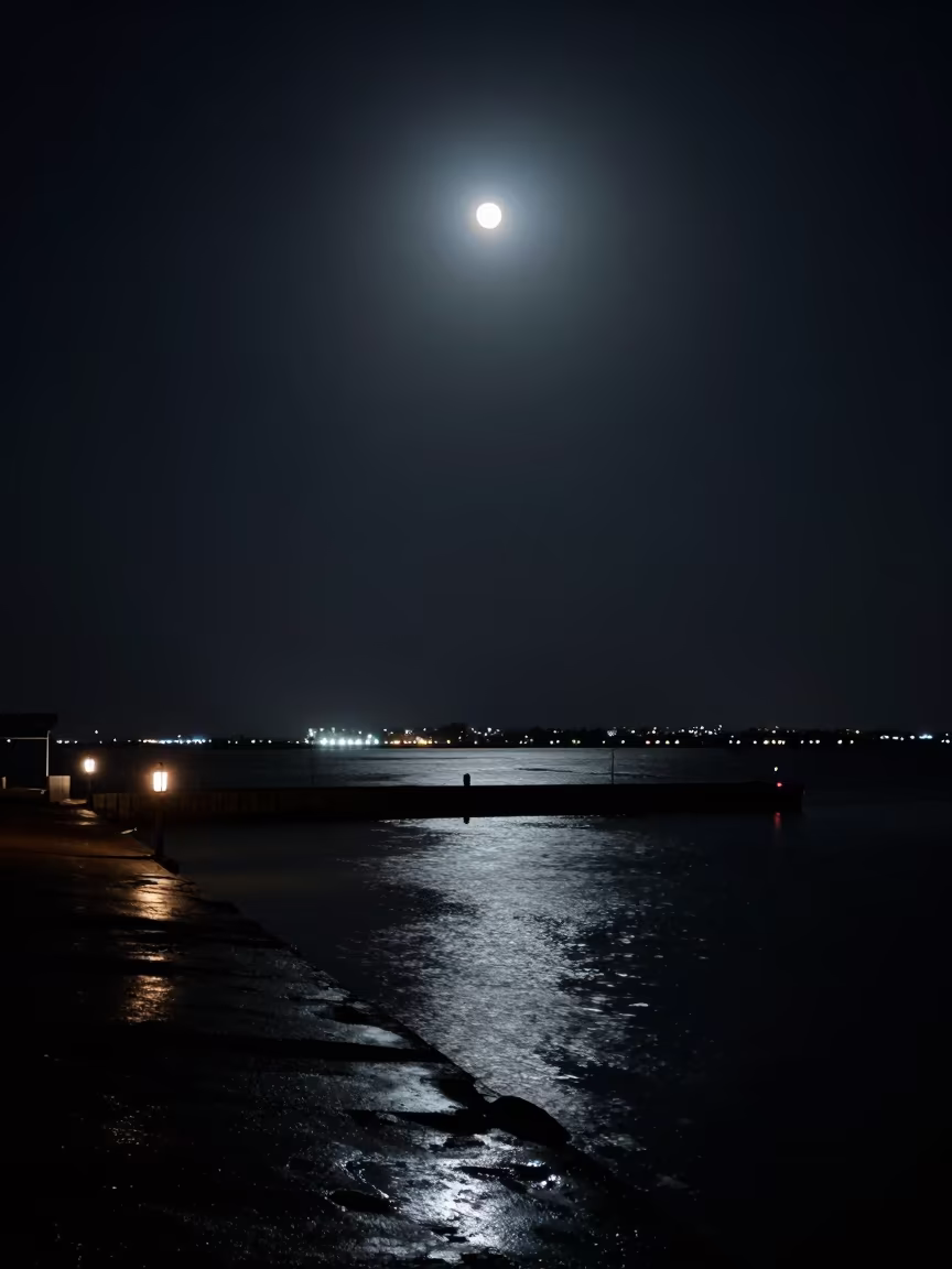 Bokeh City Lights Over Pampas Harbor Moonlight in beside a lantern-dotted harbor in the Pampas
