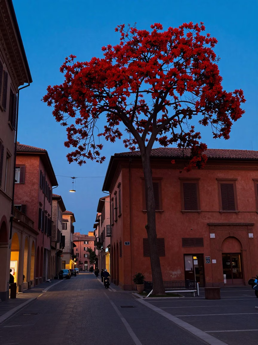 Bologna Italy Evening Blue Hour Street Scene with Flame Tree Bloom and Local Life in in Bologna, Italy