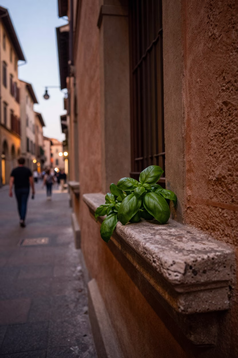 Bologna Italy Evening Street Scene with Basil Leaves and Wine Opener in in Bologna, Italy