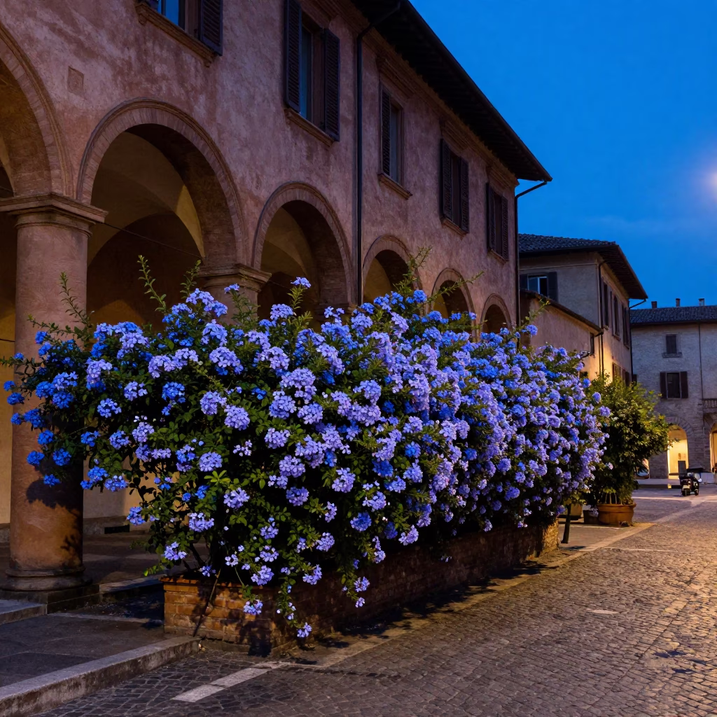 Bologna Italy Twilight Street Scene with Blue Plumbago Hedge and Vintage Car in in Bologna, Italy