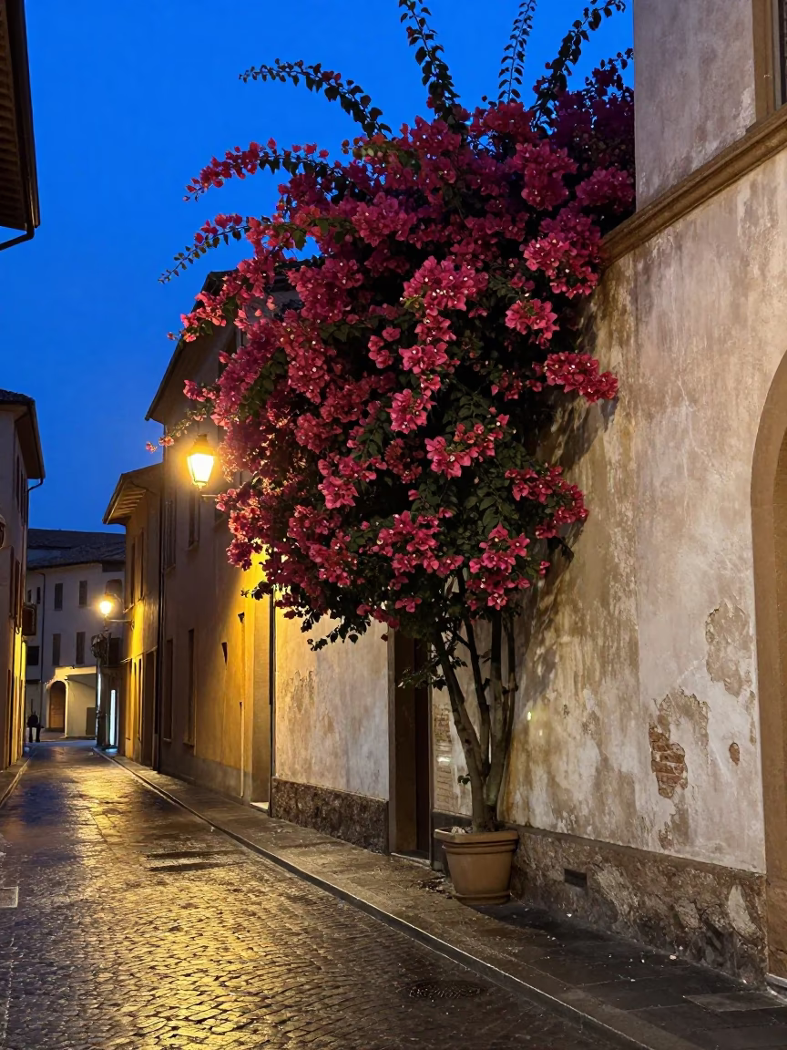 Bologna Italy Twilight Street Scene with Bougainvillea and Vintage Details in in Bologna, Italy