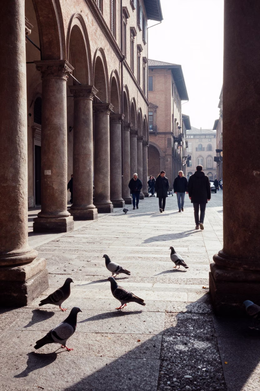 Bologna Winter Noon Street Scene with Pigeons and Urban Details in in Bologna, Italy